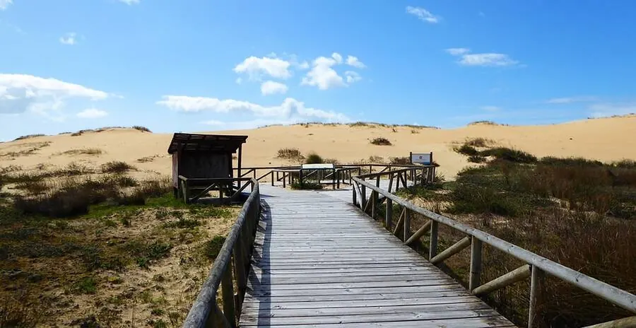 Paseo de madera sobre las Dunas de Corrubedo